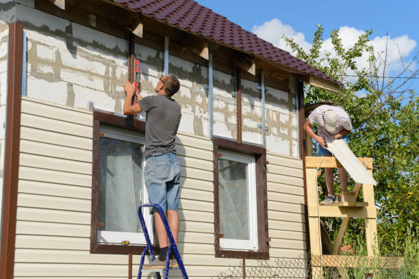 Best Insulated Siding Installation  in New Kingman Butler, AZ